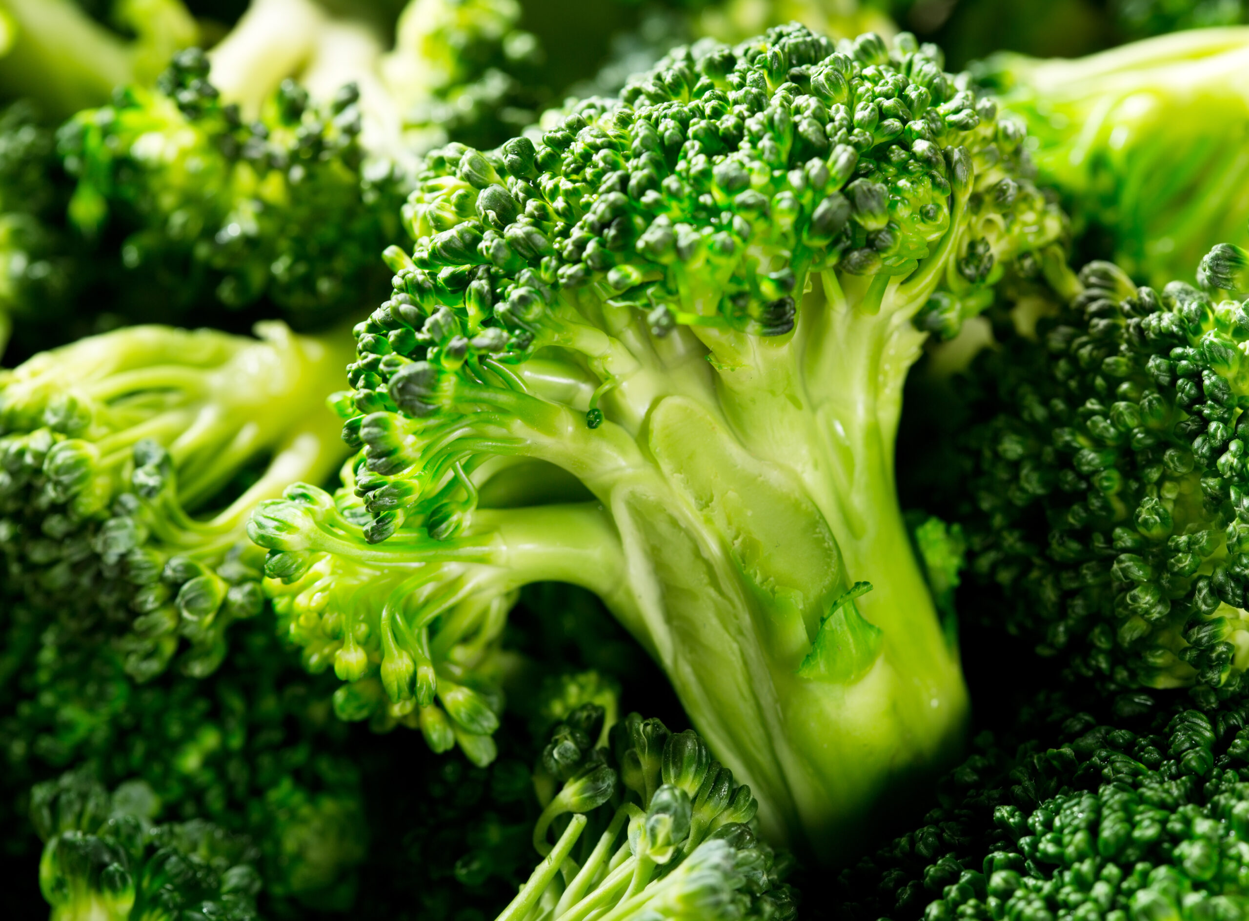 Can You Juice Broccoli