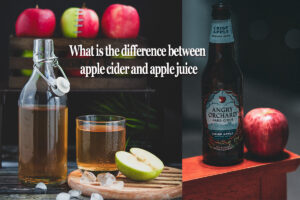 what is the difference between apple cider and apple juice
